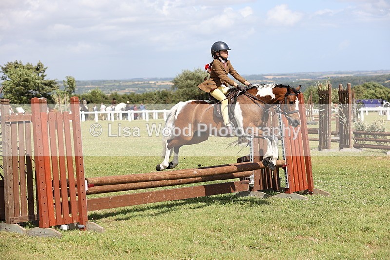 JPP_2150 - Class 19: Working Hunter 60cm