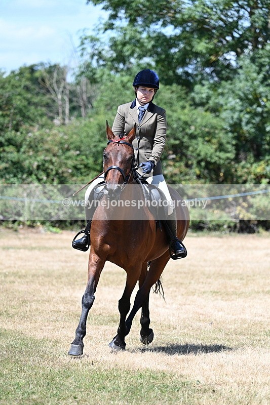 WJ7_3073 - Class 7 Riding Club Show Horse
