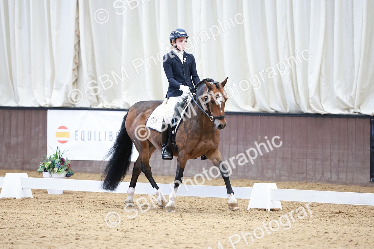 SBM_017141 - Class15 - FEI Pony