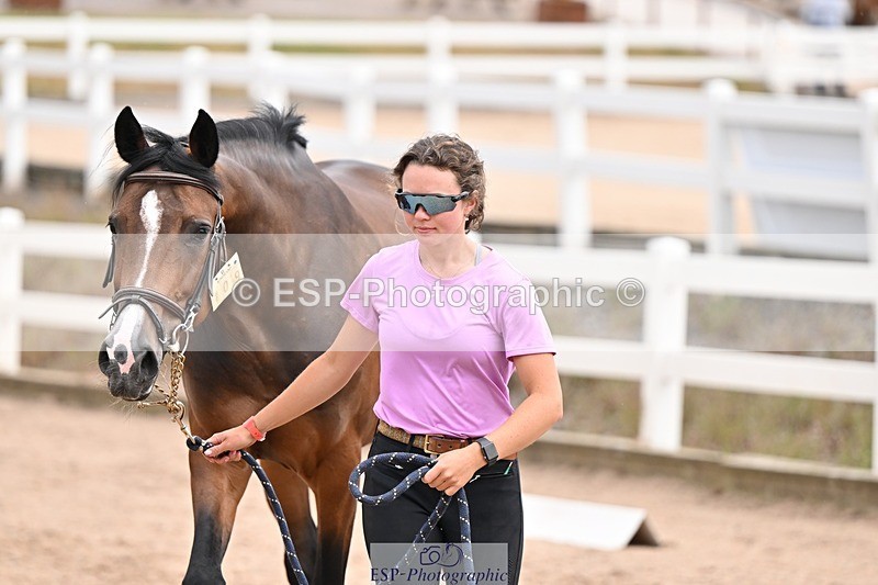 250716-151056-01728 - Trot Up 2.30 to 3.30