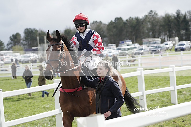 PtP 260323 0566 - New Forest Hounds Point-to-Point Larkhill 26/03/23