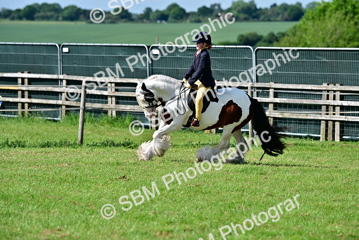 SBM_09409 - Class 63-65 - Traditional Gypsy Cobs In Hand & Ridden