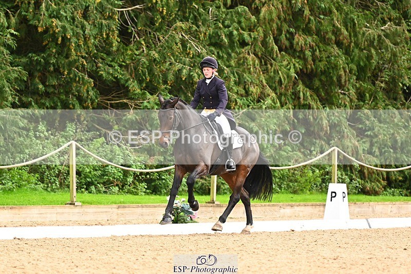 231020-155236-11971 - 217-CEFNPANT.IOLO-Katie.Thomas-DR