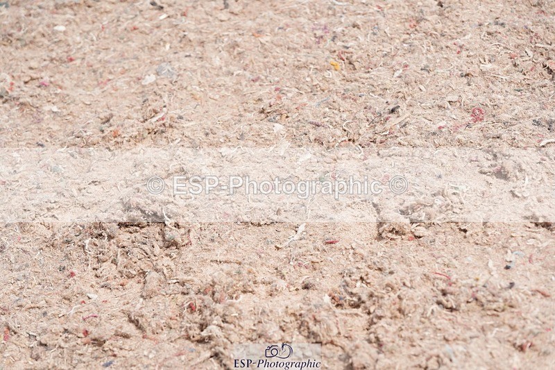 250523-122338-01462 - Cls 03 Snr Fox 1st Rnd