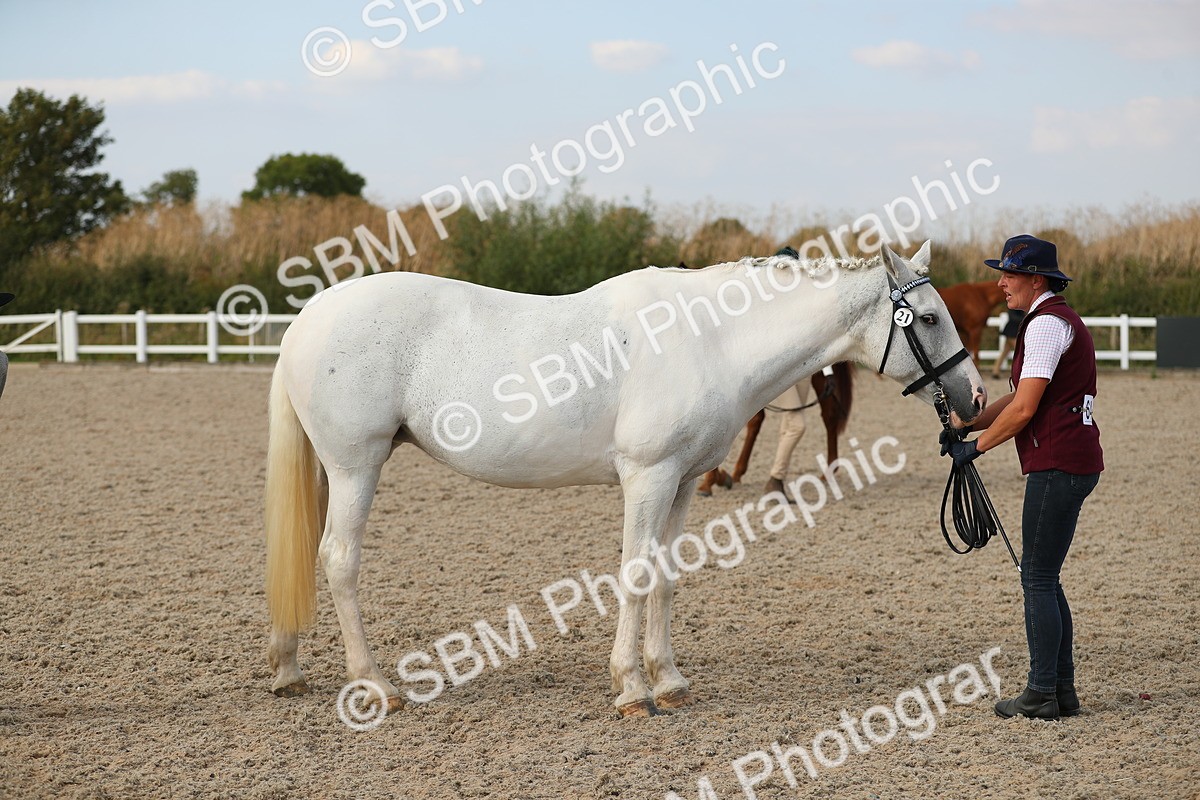 SBM_08610 - Class 28 - IH Veteran Horse