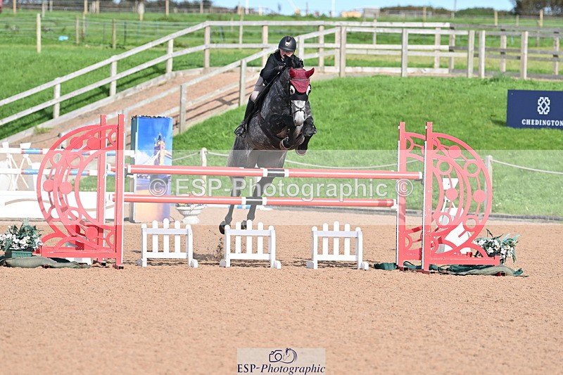 231015A-140138-08495 - Cls 31 Blue Chip Grade B & C Champ Quali