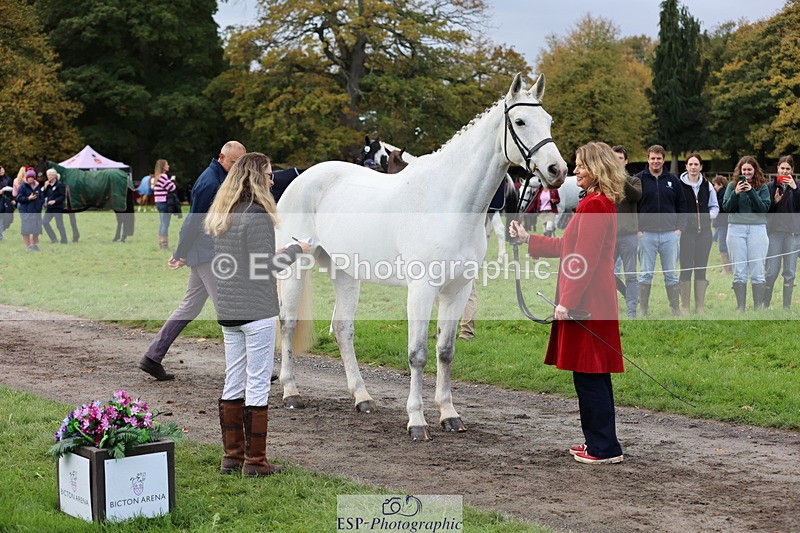 251026A-103636-23137 - G-572-Laura.Pitman With Trot Up