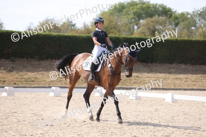20260815-1095 - Class 6 - Novice 2