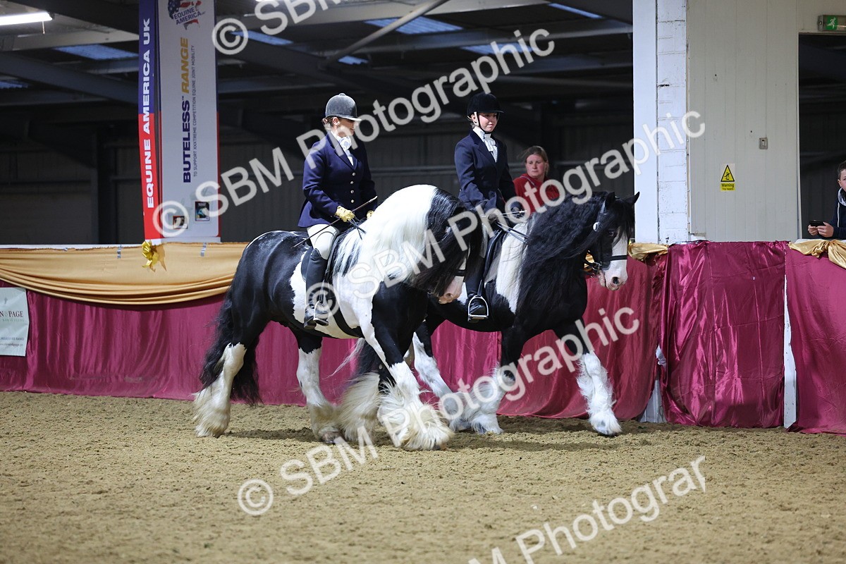 0B8A4345 - Class M Ridden Pairs Champ