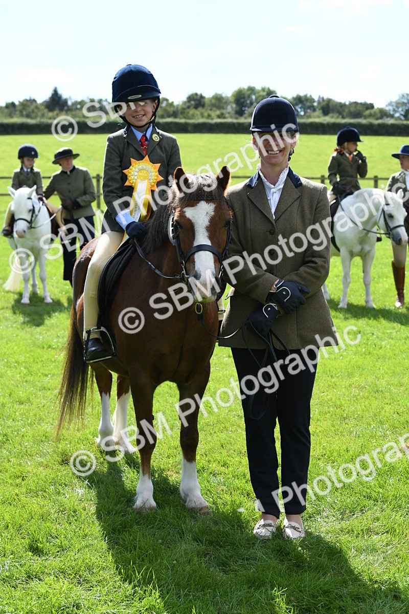 SBM_42657 - S20 - Lead Rein Mountain & Moorland Pony