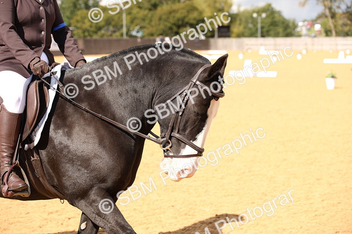 SBM_08887 - D8 Small Tour Championship Prelim 7