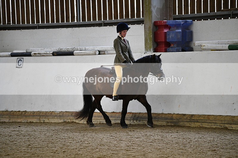 WJ5_6510 - Class 10 Childs Pony