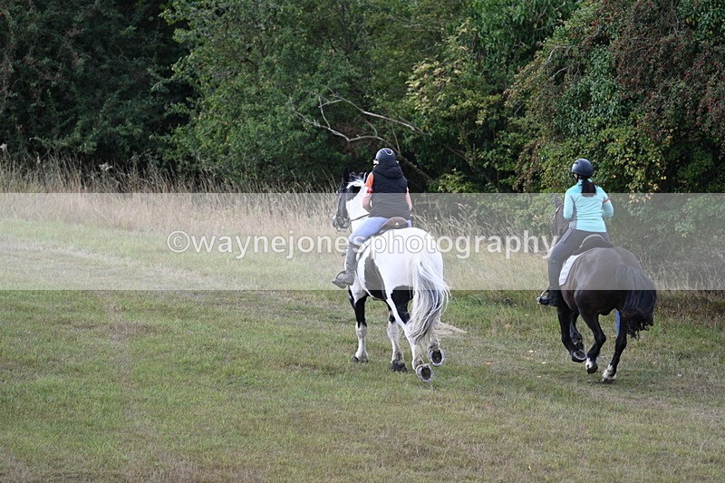 WJ7_5394 - Time 11:22 to 11:41