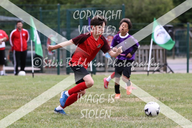1DX30927 - Brook Field V Goddard Park