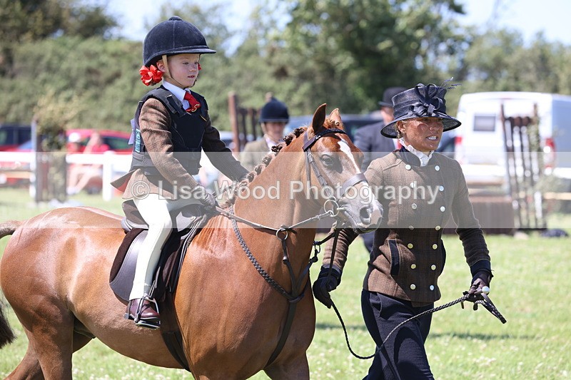 JPP_2180 - Class 20: Tiny Tots Working Hunter Pony
