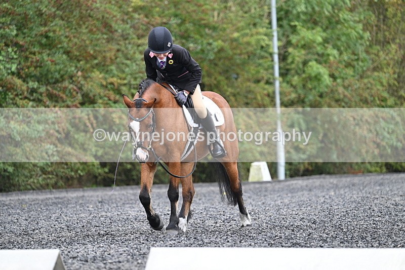 WJ7_4047 - Time 11:04 to 11:38