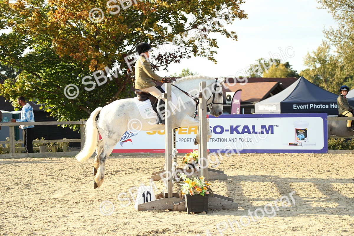 SBM_53742 - J8 - Junior Pony 65cm Championship