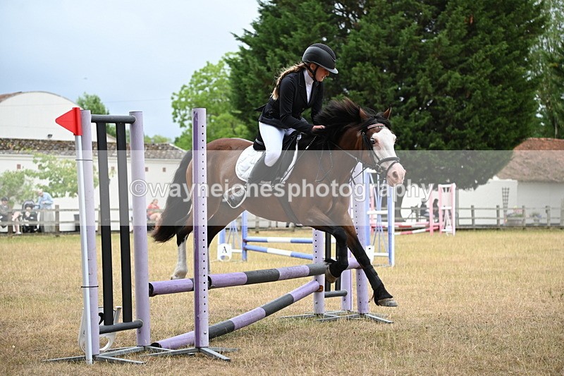 WJ6_0228 - Class 13 Novice Jumping 60cm