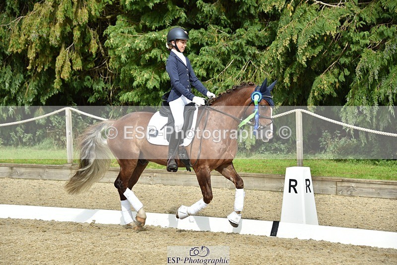 230812-160936-05450 - Novice Bronze Presentations