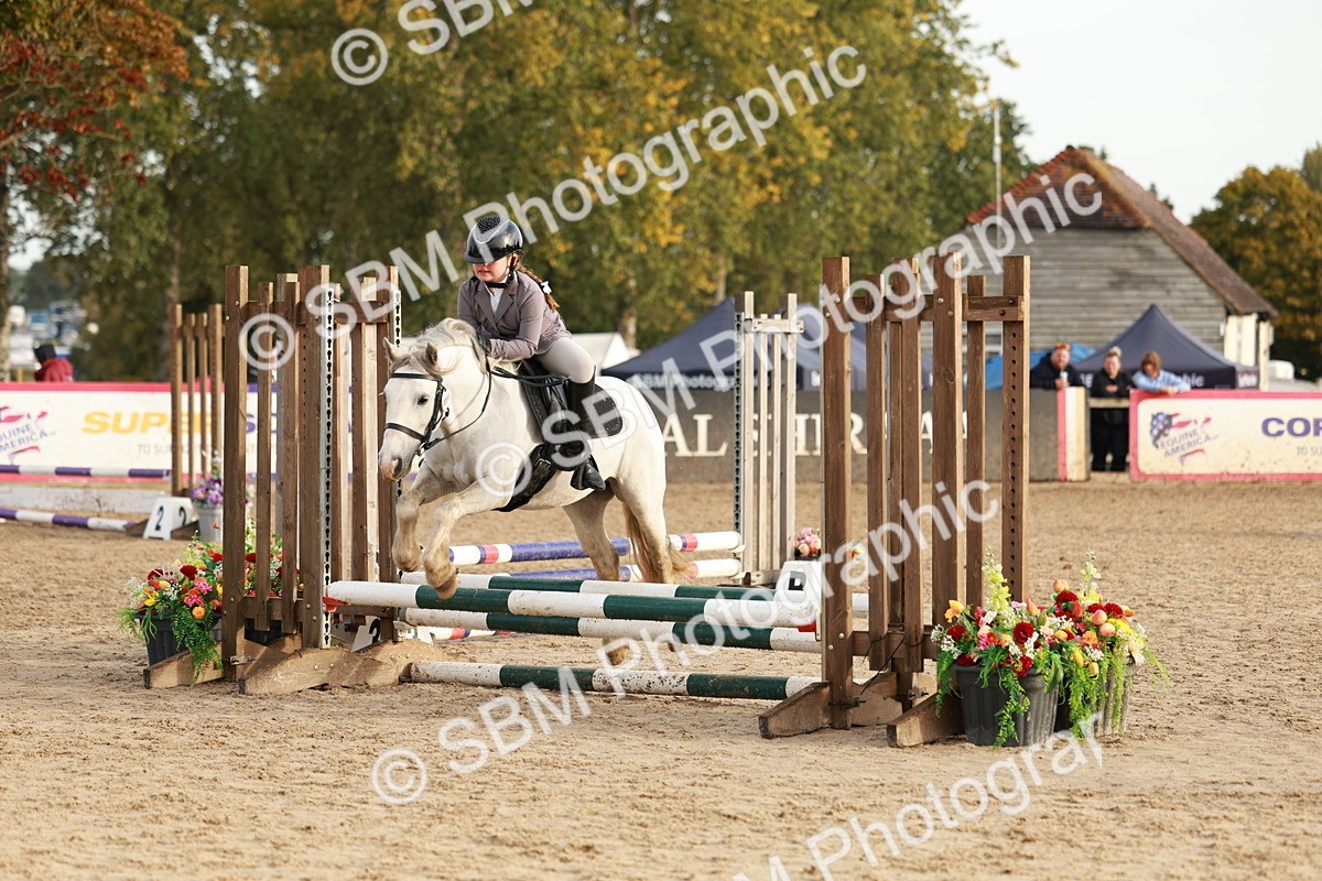 SBM_55564 - J11 - Junior Pony 50cm Championship