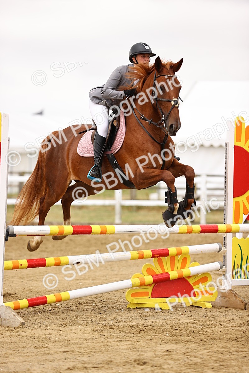 SBM_024789 - Class 9 - Senior British Novice - 90cm