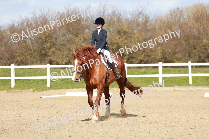 20260314-2938 - DR3 - Prelim 1