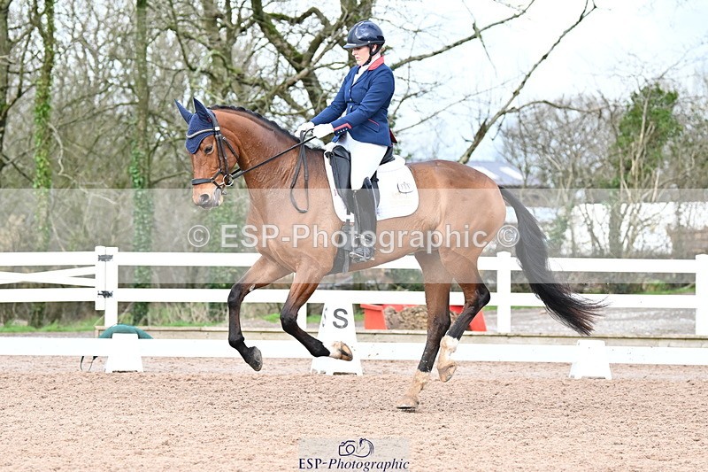 240218A-141704-08037 - 209-Charlotte.Dicker-Catherston.Tarantella