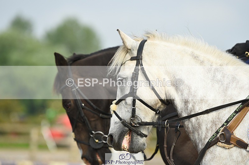 230817-085424-01588 - Kay's 1st Group - Arena