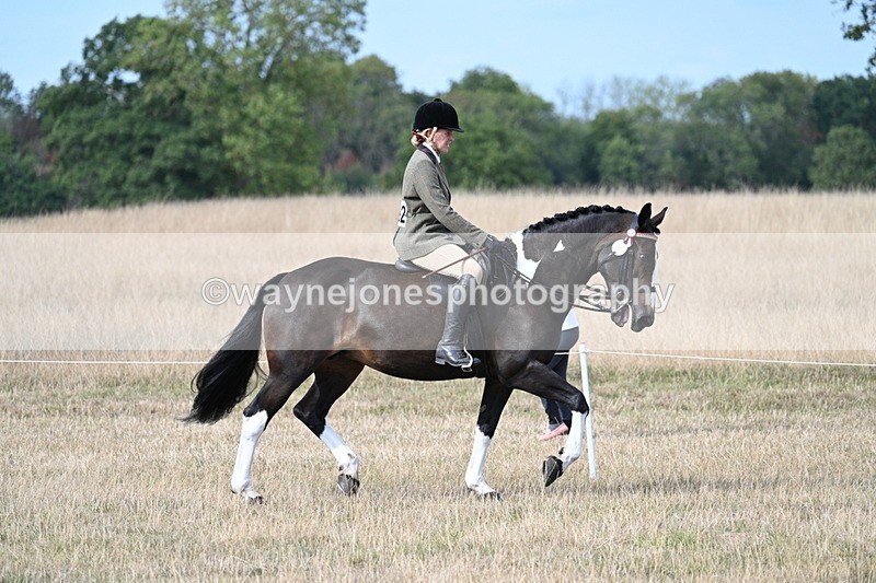 WJ7_7656 - Ridden Championship