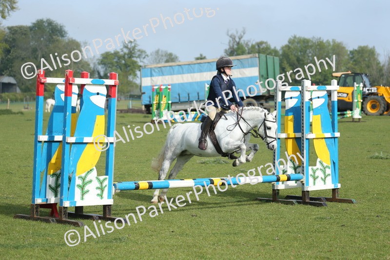 20260426-0098 - Class 13 - Rookie Jumping 50cm