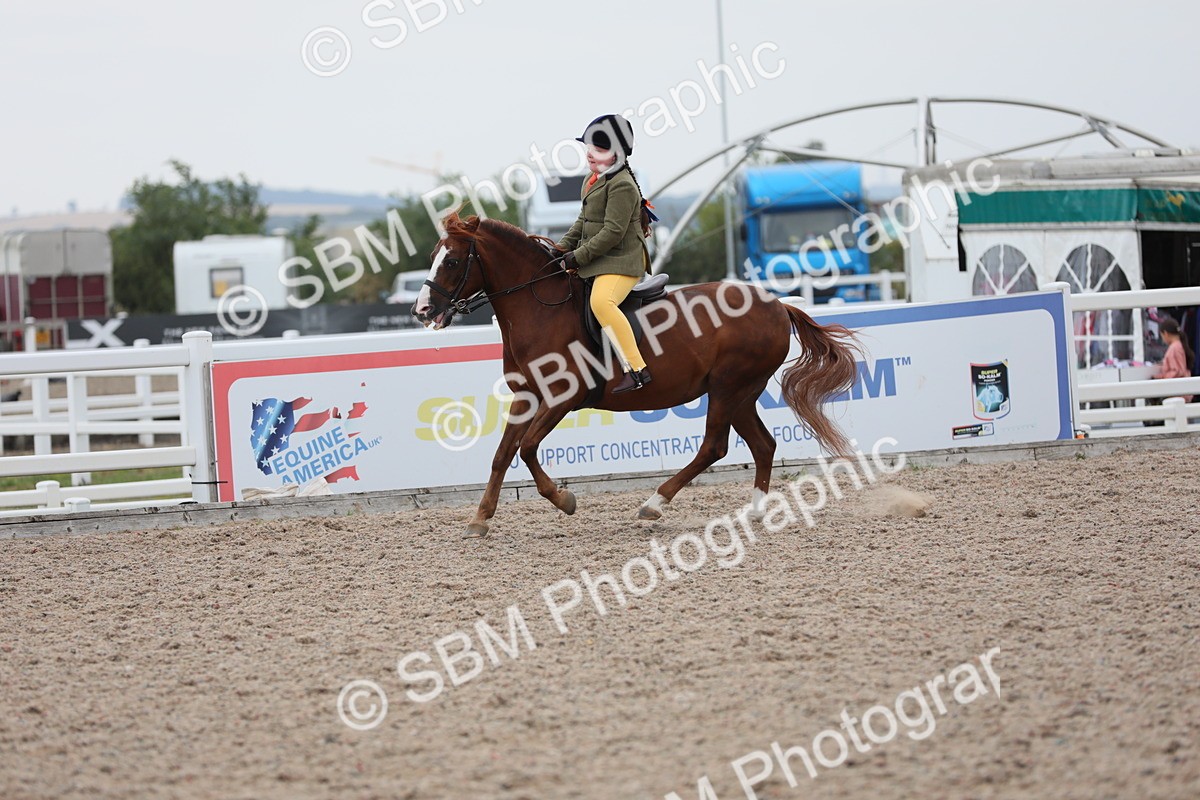 SBM_18170 - Class 316 Best Pony/Rider Combination