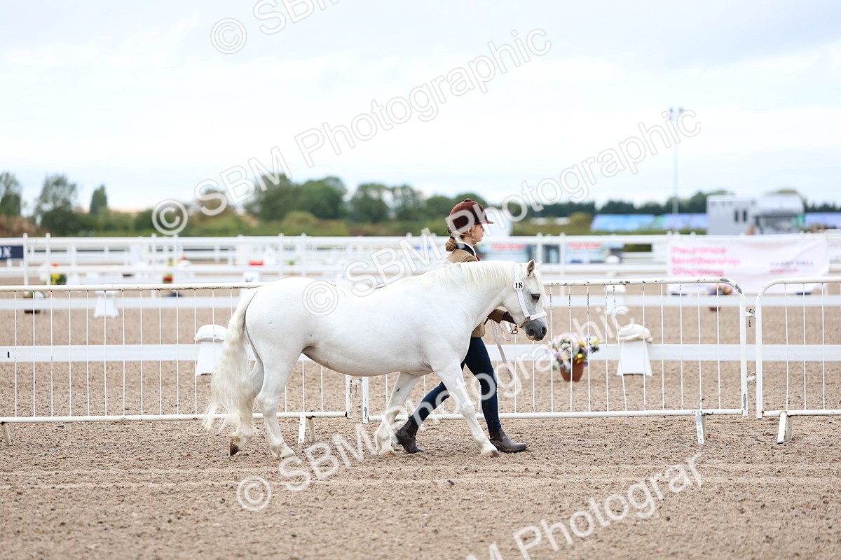 SBM_00220 - Class 13 - Young Handler