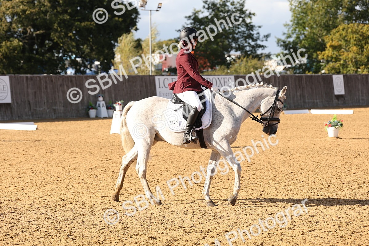 SBM_50466 - D12 - Small Tour Championship prelim 2