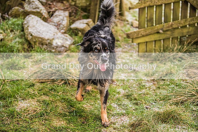 Clough Head-803 - Kong Clough Head Fell Race Saturday 2nd December 2023