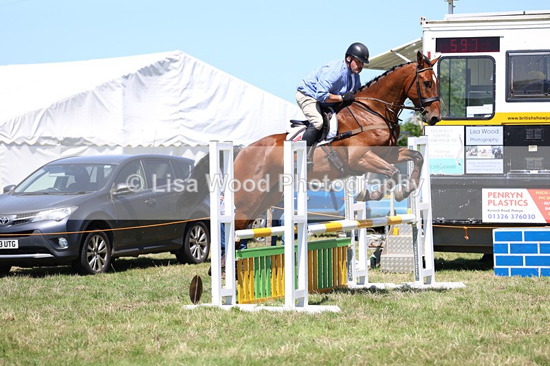 3E7A5566 - Class 9: Senior British Novice/90cm open