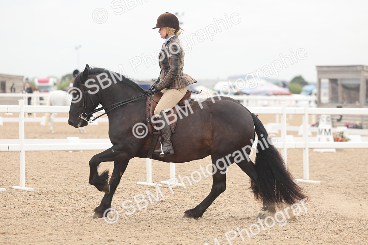 SBM_01927 - Class 14 - Ridden M&M Wildcard