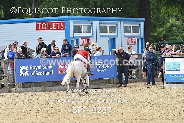 BPP_0287 - RHS 2019 Selection - *Just some random spectator shots so Lucky Dip if you are there!