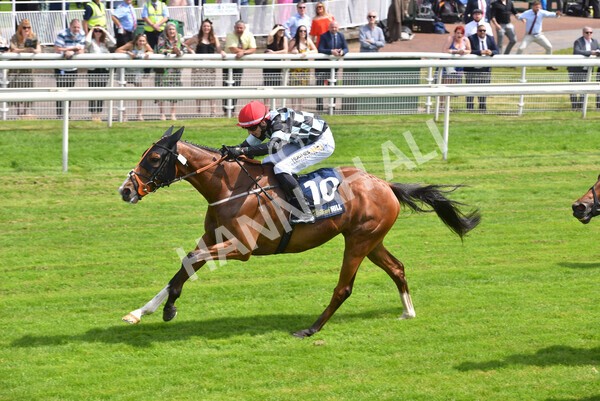 yr09072021r1-31 - Race 1: 2.05pm williamhill.com Best Odds Guaranteed Handicap Stakes