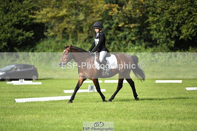 230826-090426-15018 - Sections C & D 9 to 10am