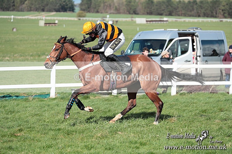 PtP 230324 564 - Tedworth Hunt PtP Larkhill Raccourse 23rd March 2024