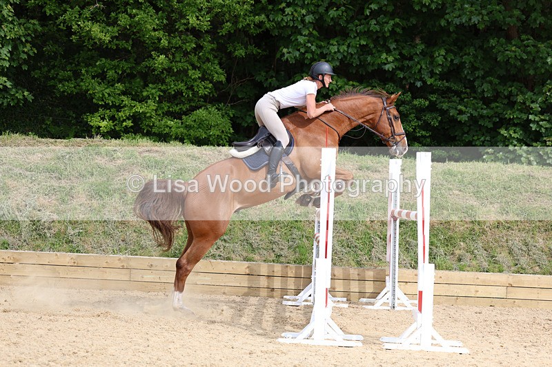 3E7A7769 - Class 8: Senior Foxhunter/1.20 open