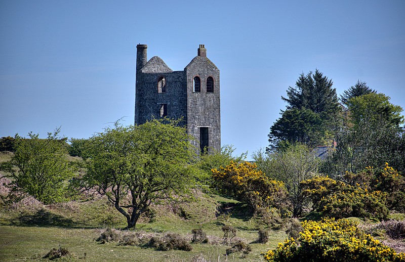  - Bodmin Moor mainly Minions