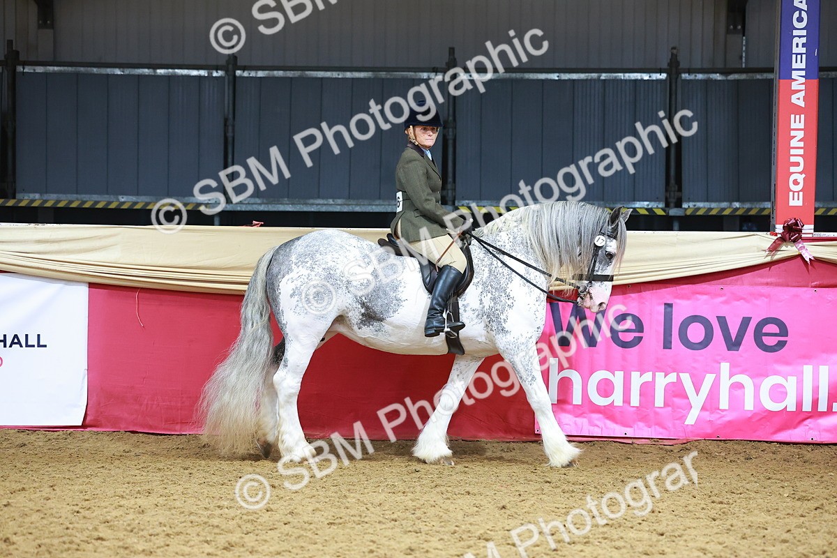 SBM_12389 - Class 103 - HOYS Veteran Qualifier - Ridden Pre Vet