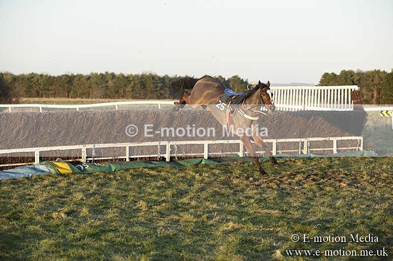 PtP 070118 -822 - Larkhill Racing Club Point to Point Larkhill 07/01/2018
