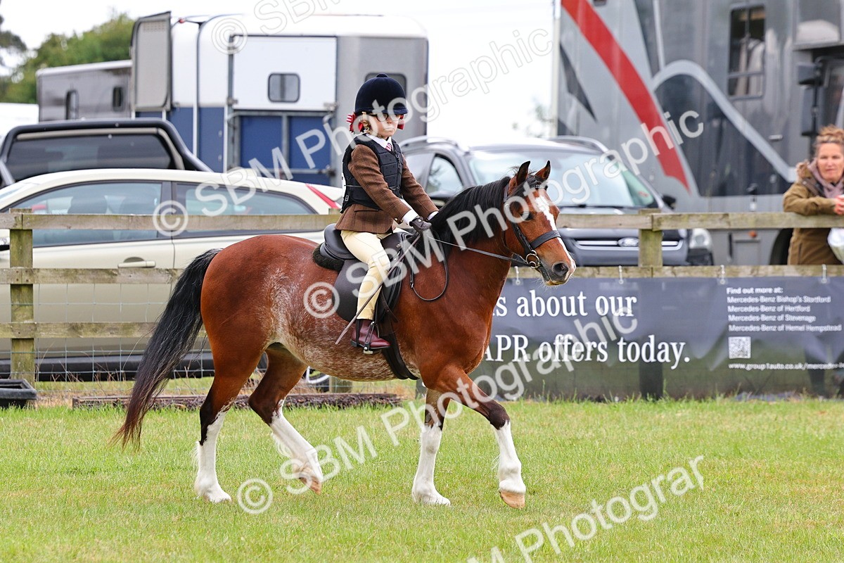 SBM_08766 - Class 42-43 - LIHS BSPS Heritage Working Sports Pony
