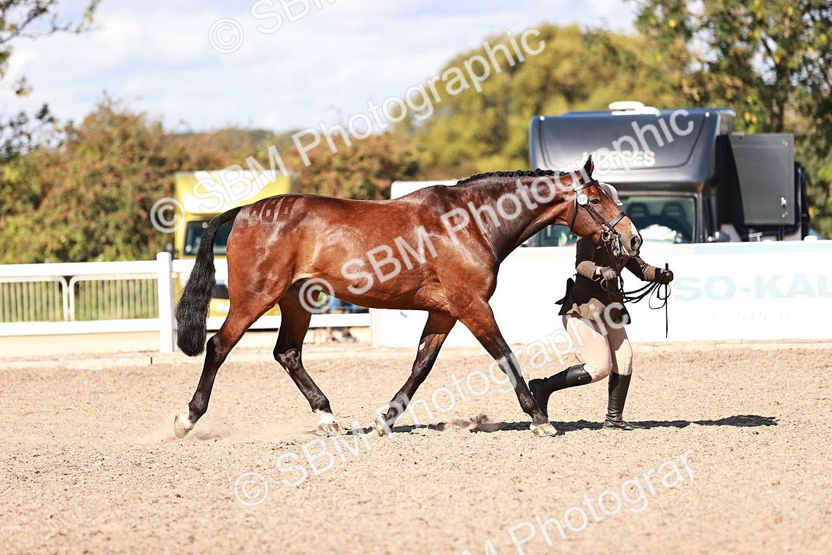 SBM_13289 - class 406 - IH Hunter