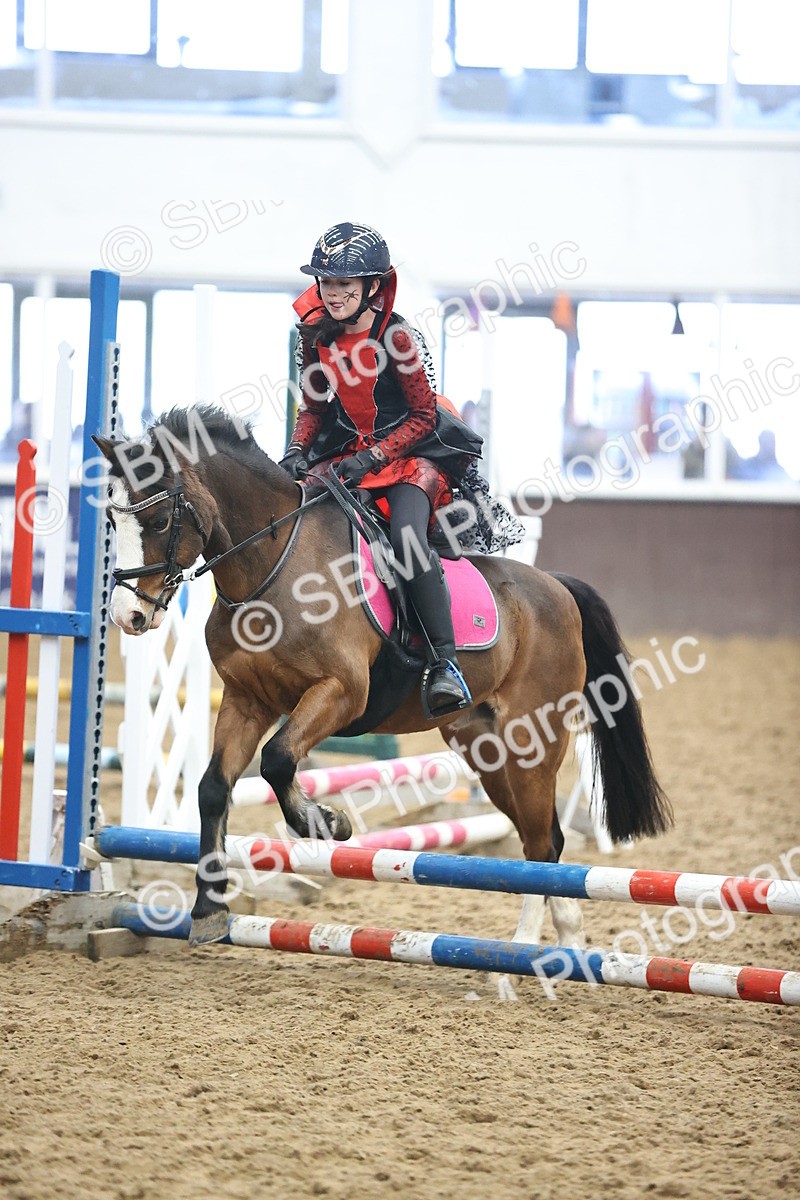 SBM_000691 - Class 2 - Show Jumping 50cm