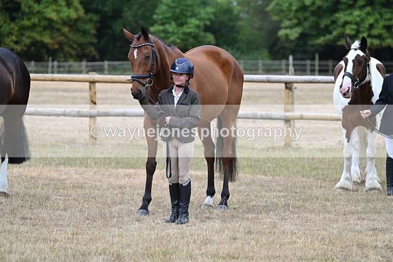 WJ7_9937 - Class 5a Most Handsome Gelding (above 14.2hh)