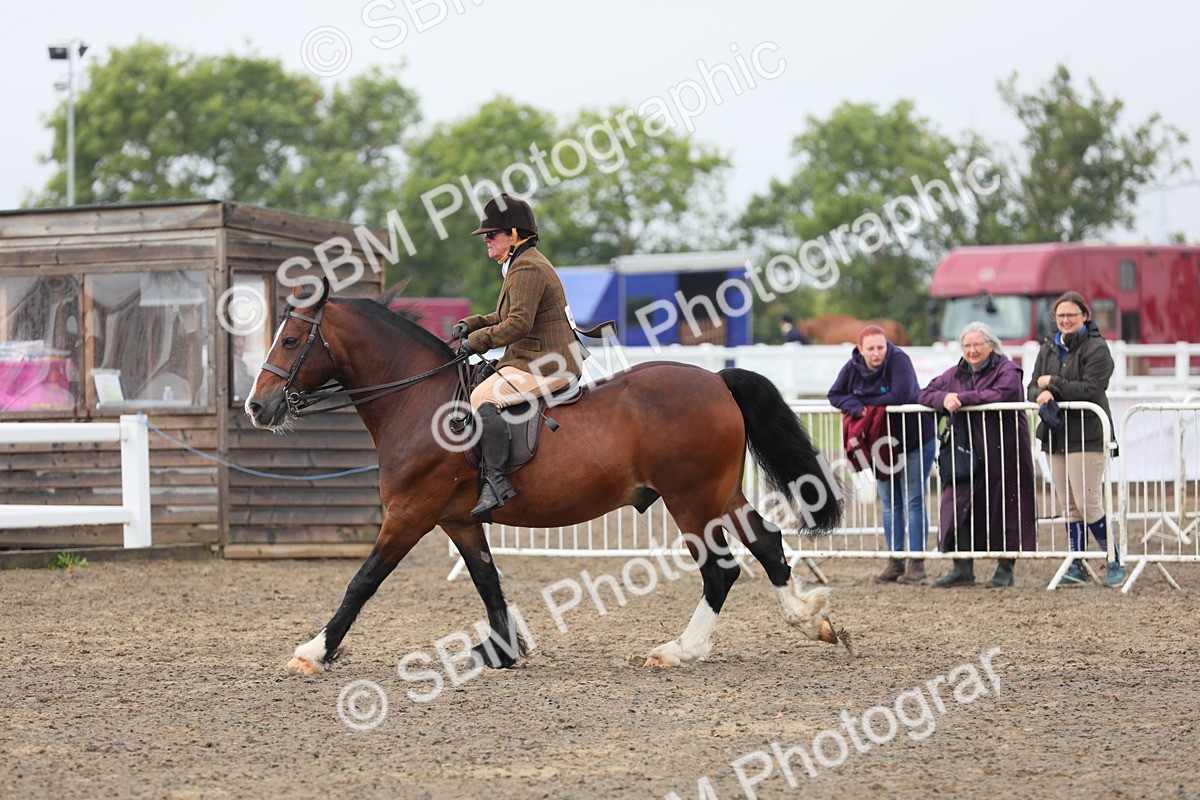 SBM_21376 - Class 805 - Ridden Veteran Horse