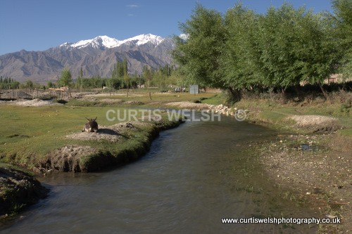 38 - LADAKH - INDIA